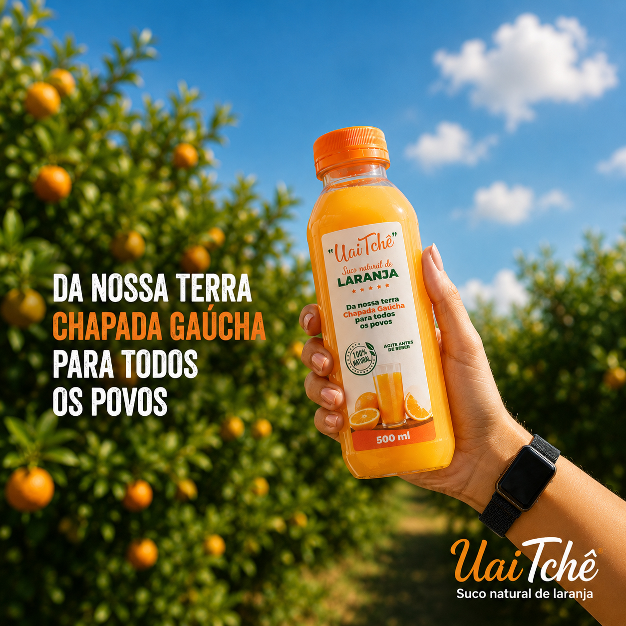 Suco Uai Tchê e laranjal ao fundo